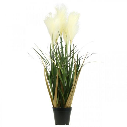 Artículo Hierba de caña en maceta Planta artificial en maceta Crema, Verde 79cm