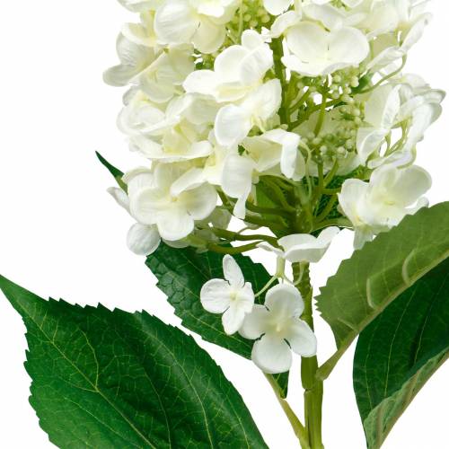 Artículo Panícula Hortensia Crema Blanca Hortensia Artificial Flor De Seda 98cm