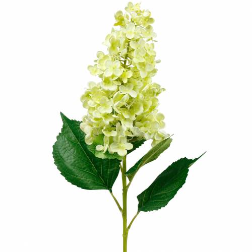 Hortensia de panícula artificial, verde hortensia, flor de seda de alta calidad 98cm - comprar barato en línea Hortensia de panícula artificial, verde hortensia, flor de seda de alta calidad 98cm - comprar barato en línea