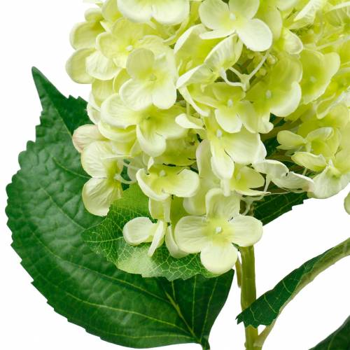 Artículo Hortensia de panícula artificial, verde hortensia, flor de seda de alta calidad 98cm