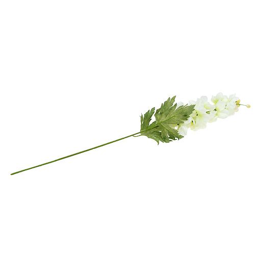 Floristik24 Delphinium White L60cm