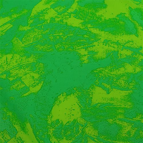 Puños rondella Ø48cm verde manzana 50pcs | Floristik24.es