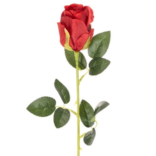 Rosa artificial de tallo largo, flor artificial roja, 62 cm, 12 unidades. comprar | Floristik24.es