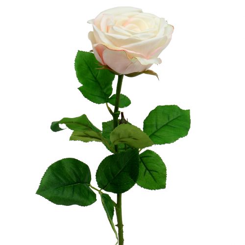 Floristik24 Crema de rosas artificiales 69cm