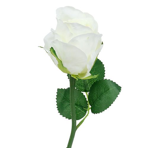 Artículo Rosa blanca Ø6cm L30cm 6pcs