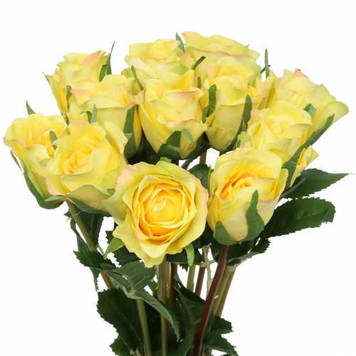 Rosa amarilla 42cm 12pcs
