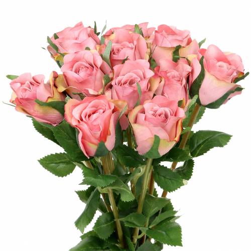 Floristik24 Rosa rosa vieja 42cm 12p