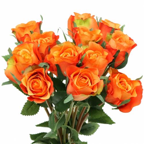 Floristik24 Rosa Naranja 42cm 12pcs