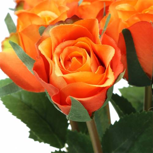 Floristik24 Rosa Naranja 42cm 12pcs