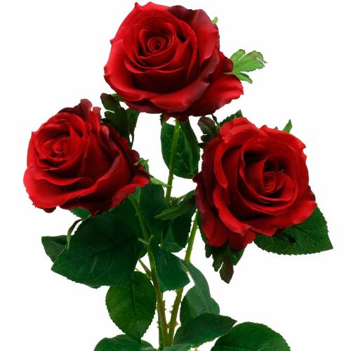 Floristik24 Rosa roja rosas artificiales flores de seda 3 piezas