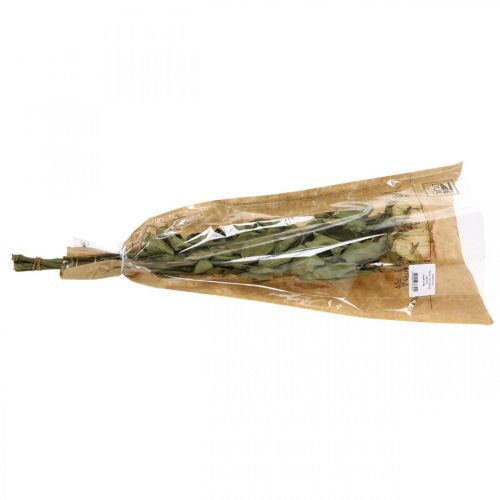 Floristik24 Rosas decorativas, flores secas, rosas secas, San Valentín, floristería funeraria, rosas rústicas amarillo-rosa L48cm 5 piezas
