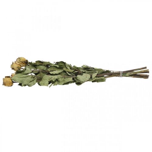 Floristik24 Rosa de flores secas, San Valentín, floristería seca, rosas decorativas rústicas amarillo-púrpura L45-50cm 5 piezas