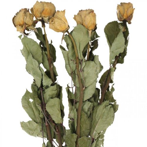 Floristik24 Rosa de flores secas, San Valentín, floristería seca, rosas decorativas rústicas amarillo-púrpura L45-50cm 5 piezas