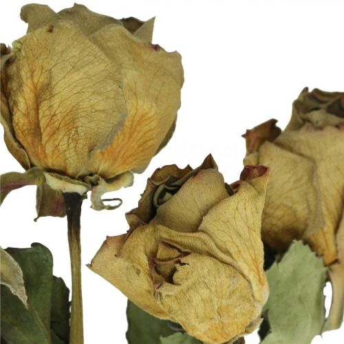 Artículo Rosa de flores secas, Día de San Valentín, floristería seca, rosas decorativas rústicas amarillo-violeta L45-50cm 5pcs