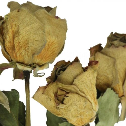 Floristik24 Rosa de flores secas, San Valentín, floristería seca, rosas decorativas rústicas amarillo-púrpura L45-50cm 5 piezas