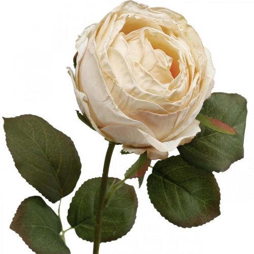 Artículo Rosa color crema, flor de seda, rosa artificial L74cm Ø7cm