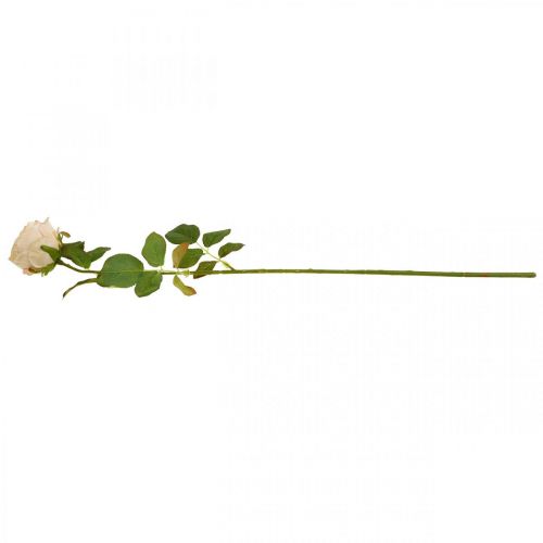Artículo Rosa color crema, flor de seda, rosa artificial L74cm Ø7cm