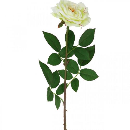 Artículo Rosa artificial, rosa decorativa, flor de seda blanco crema, verde L72cm Ø12cm