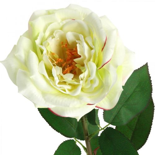 Rosa artificial, rosa decorativa, flor de seda blanco crema, verde L72cm Ø12cm