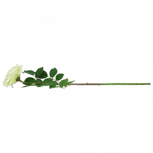 Artículo Rosa artificial, rosa decorativa, flor de seda blanco crema, verde L72cm Ø12cm