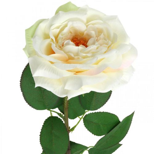 Artículo Rosa de albaricoque blanco cremoso, flor de seda, rosas artificiales L72cm Ø12cm