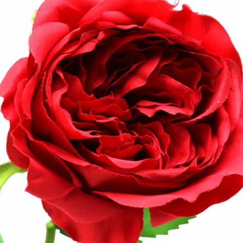 Floristik24 Rosa flor artificial roja 72cm