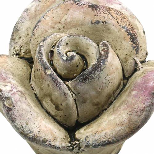 Floristik24 Rosa hormigón gris, violeta Ø7,7 H5,5cm 3 piezas