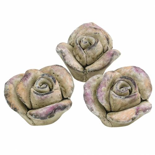 Floristik24 Rosa hormigón gris, violeta Ø7,7 H5,5cm 3 piezas