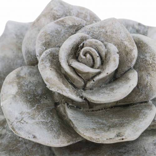 Floristik24 Rosa decorativa gris Ø9.3cm