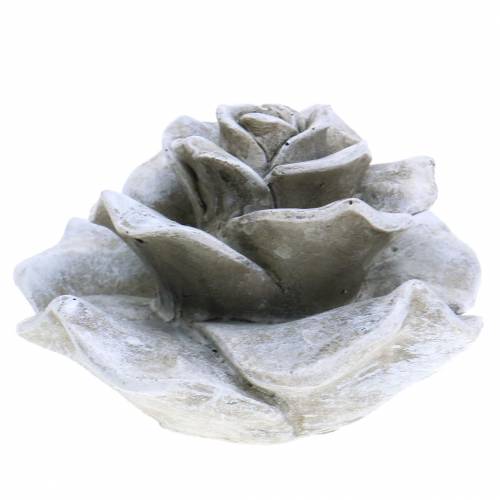 Floristik24 Rosa decorativa gris Ø9.3cm