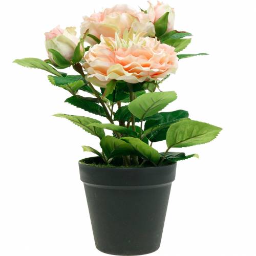 Artículo Rosa decorativa en maceta, románticas flores de seda, peonía rosa