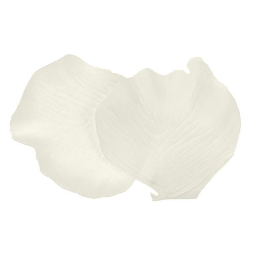 Floristik24 Crema de pétalos de rosa 4,5cm 144pcs