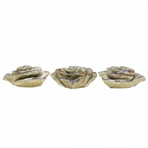 Floristik24 Rosa de hormigón corazón gris, violeta Ø13 H5cm 3 piezas