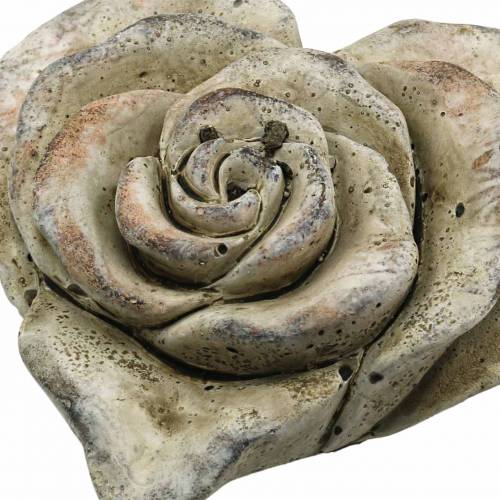 Floristik24 Rosa de hormigón corazón gris, albaricoque Ø13 H5cm 3 piezas