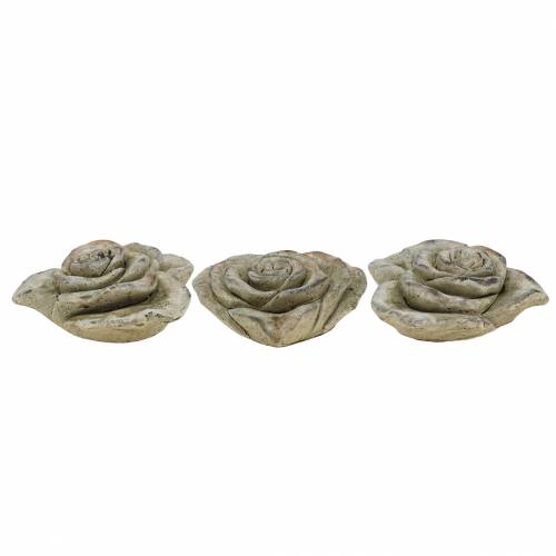 Floristik24 Rosa de hormigón corazón gris, albaricoque Ø13 H5cm 3 piezas