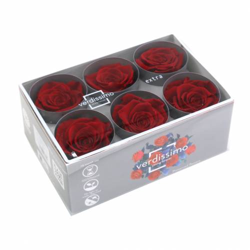 Artículo Infinity Roses Grandes Ø5,5-6cm Rojo 6uds