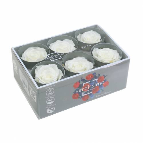 Artículo Infinity Roses Grandes Ø5,5-6cm Blanco 6uds