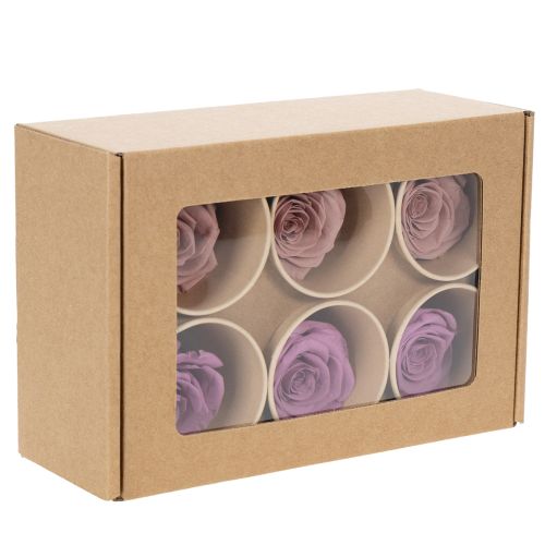Artículo Cabezas de rosas preservadas, regalo romántico, rosas duraderas para ocasiones especiales, 5cm, 6 piezas
