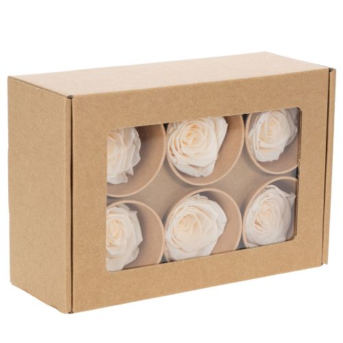 Artículo Cabezas de rosas, flores preservadas para arreglos florales elegantes, 5cm, 6 piezas