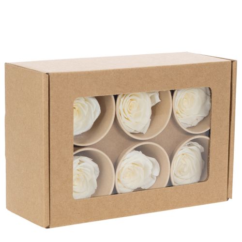 Artículo Rosas preservadas, decoración de mesa duradera para un ambiente romántico, decoración de boda, 5 cm, 6 piezas