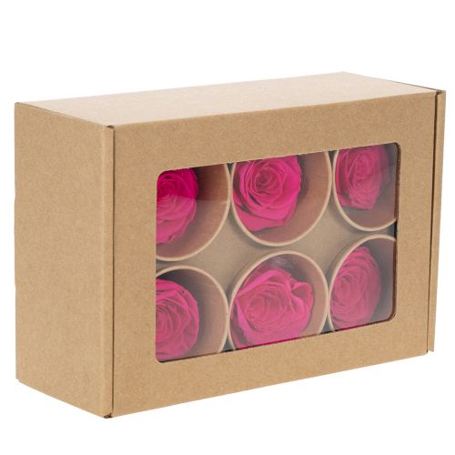 Artículo Rosas preservadas para decorar mesas, flores auténticas y sostenibles, 5 cm, 6 unidades