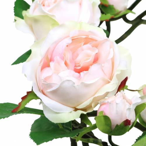 Floristik24 corona de rosas rosa Ø35cm