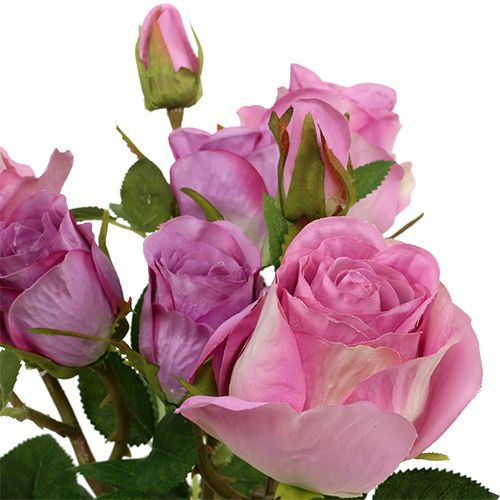 Floristik24 Ramo de rosas rosa viejo 40cm