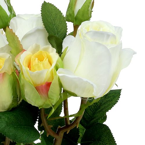 Floristik24 Ramo de rosas crema 40cm