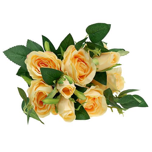 Floristik24 Ramo de rosas crema L46cm