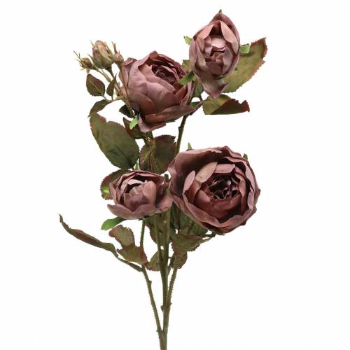 Floristik24.es Rama de rosa artificial violeta 76cm - comprar barato en  línea