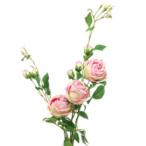 Floristik24 Rama de rosa rosa 100cm