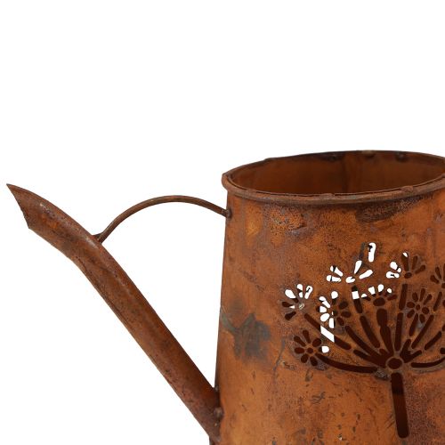 Floristik24 Regadera decorativa óxido metal diente de león pátina 25×12×12cm