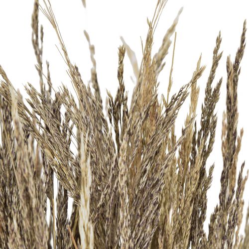 Floristik24 Hierba Doblada Agrostis Capillaris Hierba Seca Naturaleza 60cm 80g