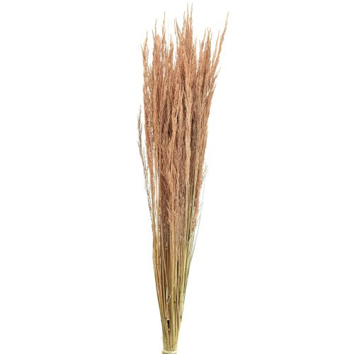 Artículo Hierba Doblada Roja Agrostis Hierba Seca Rojo Marrón 65cm 80g